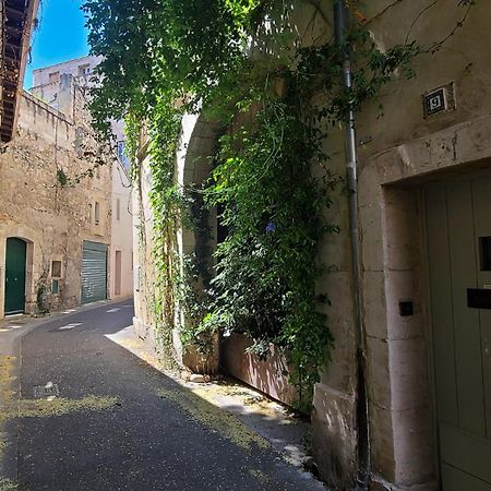 Wifi - Hypercenter - In The Heart Of Avignon! Apartment Exterior foto